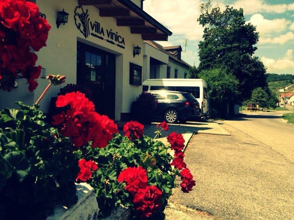 Villa Vinica Limbach Exterior photo
